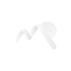ICALP logo